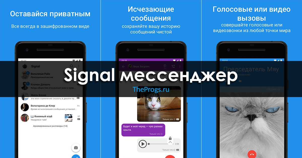Мессенджер в 2024 году. Сигнал приложение. Сигнал мессенджер Разработчик. Мессенджер сигнал котики. Приложения для обмена сообщениями 2023.