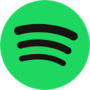 Spotify логотип программы фото