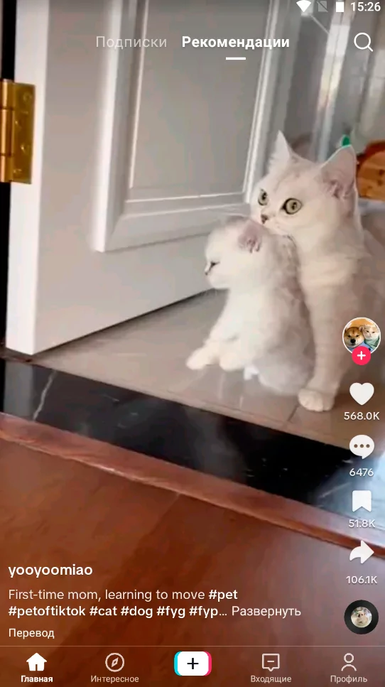 TikTok скриншот (фото)