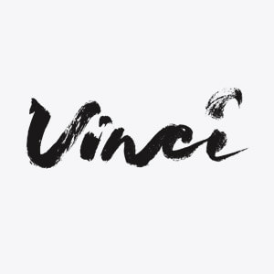 Vinci (логотип) фото, скриншот