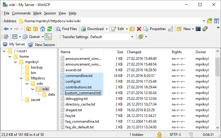 WinSCP скриншот (фото)
