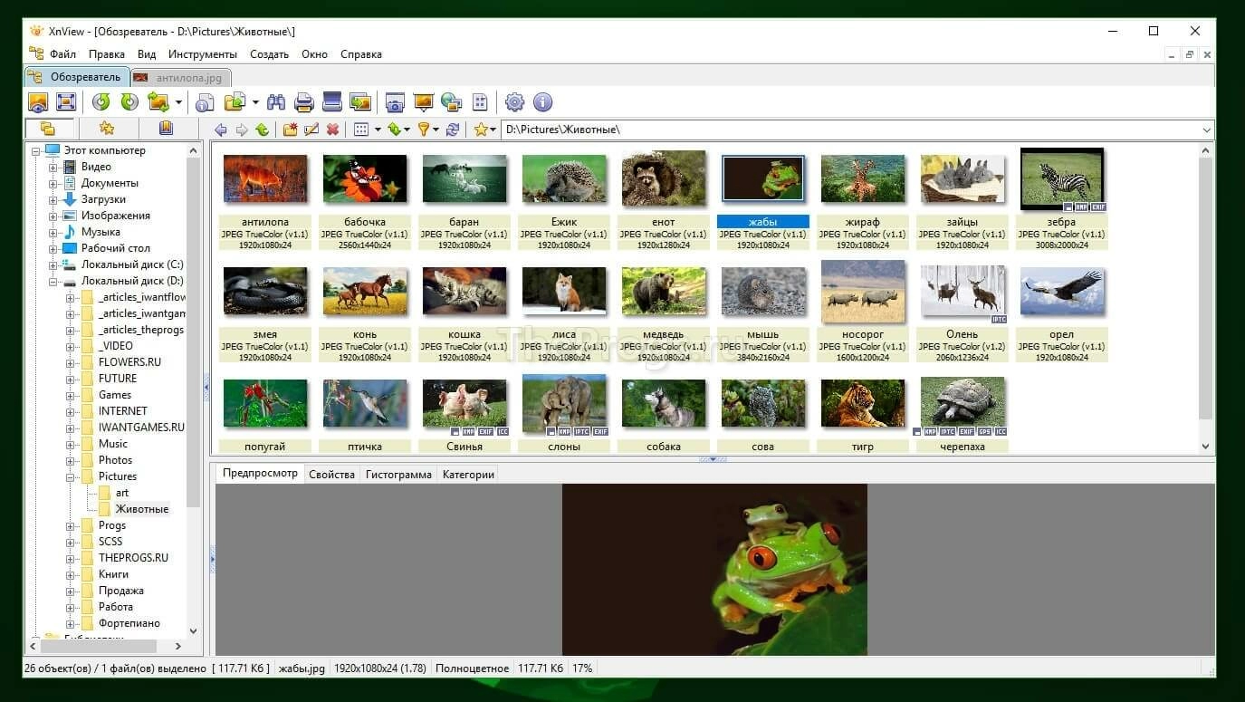 XnView 2017 скриншот программы (фото)
